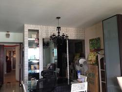 Blk 1C The Pinnacle@Duxton (Bukit Merah), HDB 4 Rooms #64056622